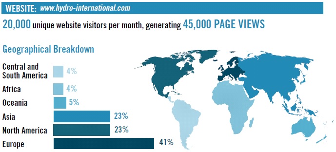 Website insights